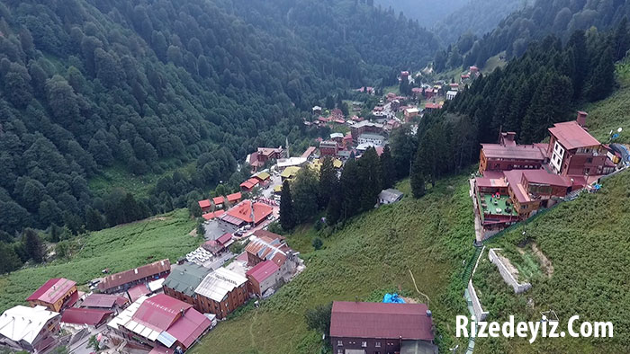 Türkiye`nin en ünlü yaylalarından biri olan Ayder, yaylası 1350 m rakımda yer alıyor